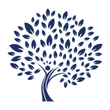 Mindful Beginnings